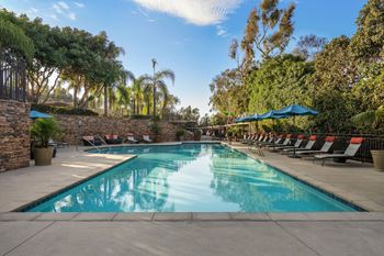 Sparkling swimming pool