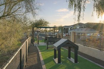 Expansive dog park with agility equipment accented by lush landscaping – we love pets!* *