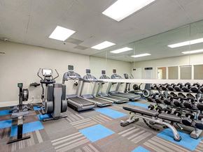 Long Beach apartment for rent - A gym with a variety of equipment including treadmills, elliptical machines, and weight racks.