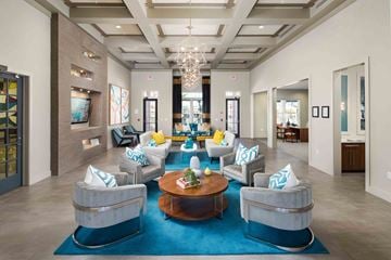Tampa apartment for rent - A large, modern living room with a blue rug and grey couches.