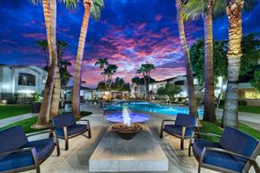 Chandler apartment for rent - A pool surrounded by palm trees and lounge chairs.