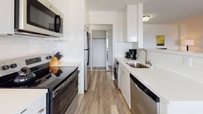 San Francisco apartment for rent - a kitchen with a stove top oven next to a sink