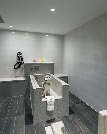 Pet-friendly living with dedicated dog run and pet spa