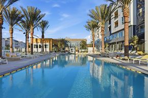 Chula Vista apartment for rent - A large swimming pool surrounded by palm trees and lounge chairs.