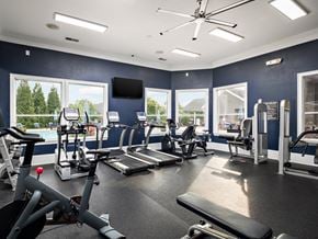 Mcdonough apartment for rent - a gym with cardio equipment and windows with a view of a pool