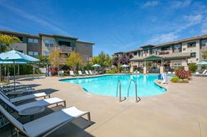 Rohnert Park apartment for rent - Pool