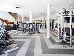 Chula Vista apartment for rent - a gym with weights and cardio equipment in aria resort and spa