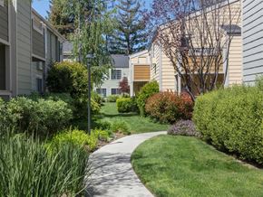 Mountain View apartment for rent - walkway