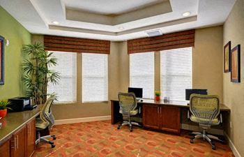 A room with a green wall and a plant in it.