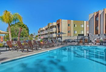 Swimming pool view1