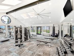 Escondido apartment for rent - Workout Equipment at Altair, Escondido, CA, 92029