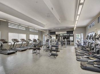 Professional-grade fitness center