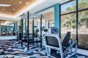 A gym with cardio equipment and large windows