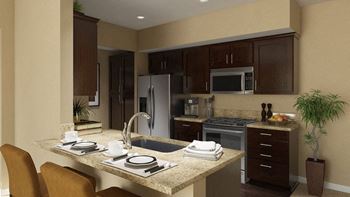 Gourmet kitchen