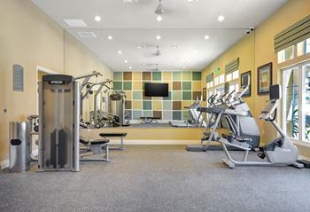 Professional-grade fitness center