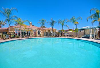Olympic size swimming pool