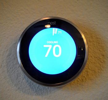 Nest system at avino