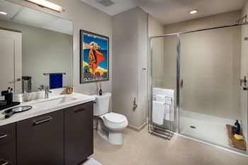 Luxurious bathroom