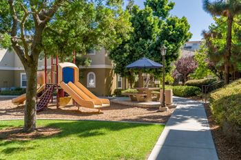 Play ground