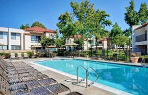 San Diego apartment for rent - A swimming pool surrounded by sun loungers and trees at The Casas Apartments, California, 92126
