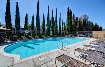 A pool surrounded by tall trees and lounge chairs.