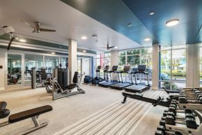 Tampa apartment for rent - the apartments at masse corner 205 fitness room