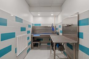 Aurora apartment for rent - a kitchen with a sink and a table