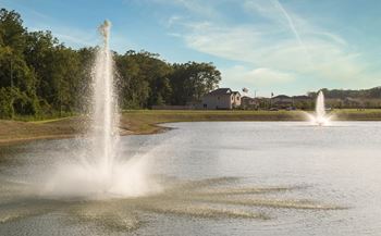 Pond with fountain