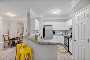 Raleigh apartment for rent - a kitchen with a counter top and a refrigerator