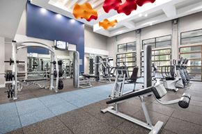 Sanford apartment for rent - Gym at Solara, Sanford, Florida