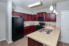 Elkridge apartment for rent - a kitchen with a black refrigerator and a sink