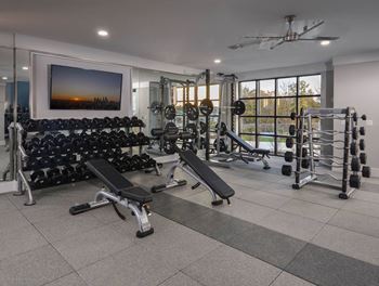 Free weights