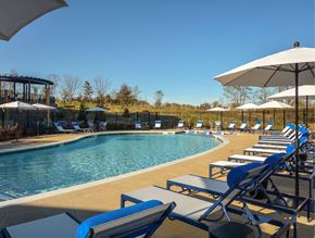 Ellicott City apartment for rent - a swimming pool with lounge chairs and umbrellas at a resort