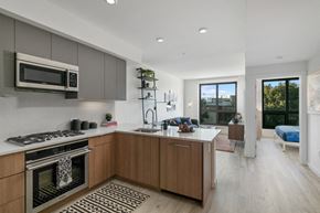 San Francisco apartment for rent - a kitchen with a sink and a stove and a microwave