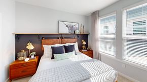 Raleigh apartment for rent - a bedroom with a bed and two windows