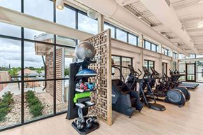 Nashville apartment for rent - the gym is equipped with a slew of weights and cardio equipment