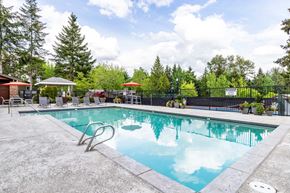 Redmond apartment for rent - A swimming pool surrounded by trees and a fence.