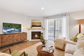Westminster apartment for rent - A living room with a fireplace and a television.