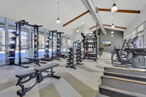 Westminster apartment for rent - A gym with a variety of equipment including treadmills, weights, and exercise machines.