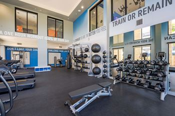 Free weights areas