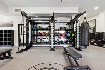 Free weights area