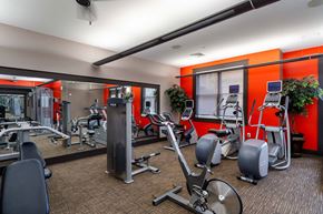 Chesapeake apartment for rent - A gym with a variety of equipment including treadmills, weights, and exercise machines.