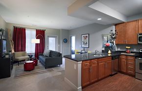 Chesapeake apartment for rent - A modern kitchen with wooden cabinets and a black countertop.