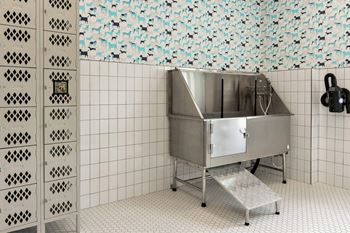 Pet wash