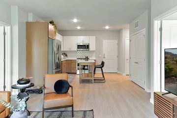 Cottage Grove apartment for rent - A modern living room with a black chair and a wooden floor.