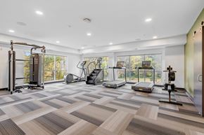 Cottage Grove apartment for rent - A spacious home gym with a variety of equipment.