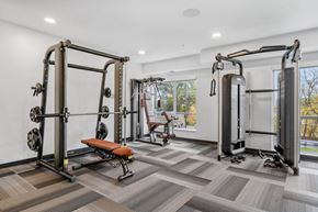 Cottage Grove apartment for rent - A gym with a squat rack, a bench, and a rowing machine.