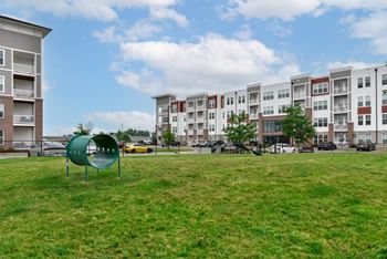 Dog park