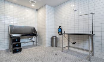 Dog washing parlor