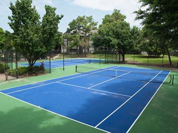 Tennis court(s)